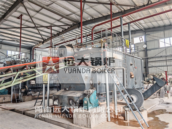 6Ton Water Tube Biomass Steam Boiler