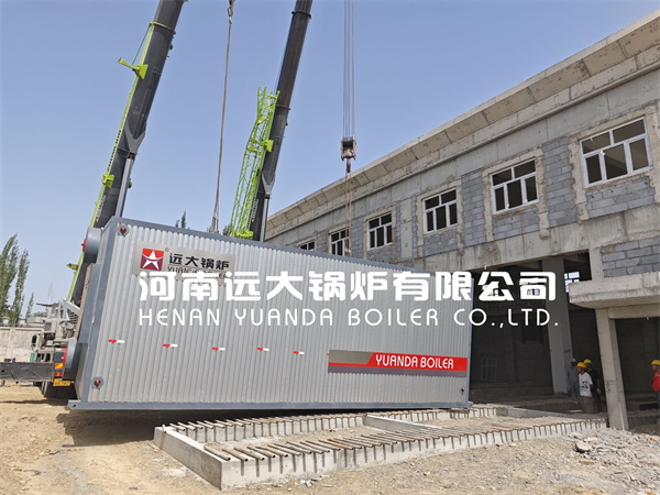 40Ton Industrial Natural Gas Fired Steam Water Boiler Made in China