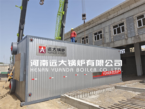 40Ton Industrial Natural Gas Fired Steam Water Boiler Made in China