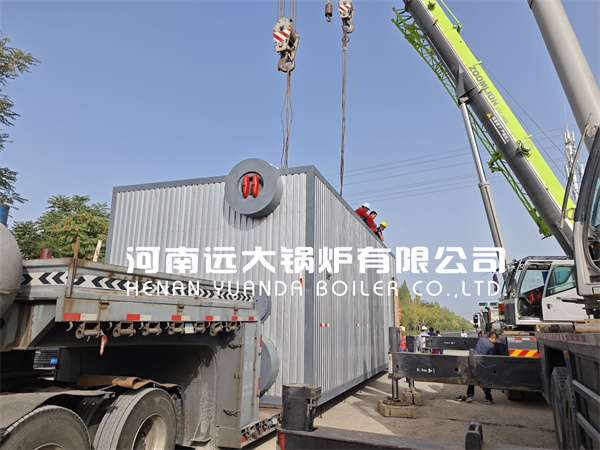 40Ton Industrial Natural Gas Fired Steam Water Boiler Made in China