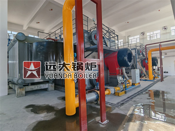 SZS Series Water Tube Oil Gas Boiler Double Drums “D-type” Vertical Arrangement Boiler