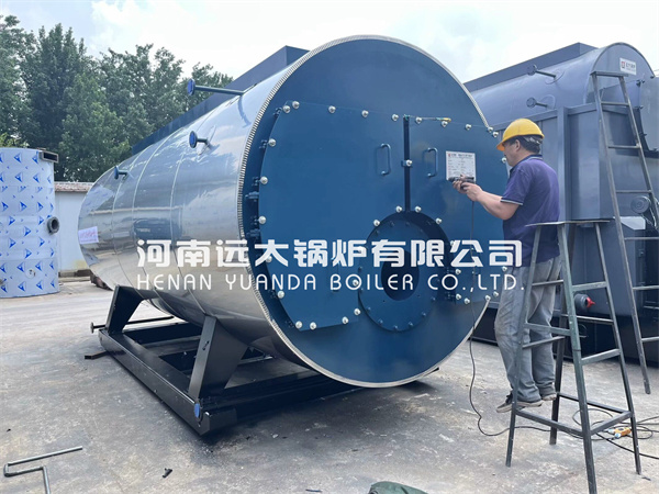 WNS Steam Boiler Fire Tube Oil Gas Three Pass Fire Tube Boiler 5ton Indonesia Food Factory