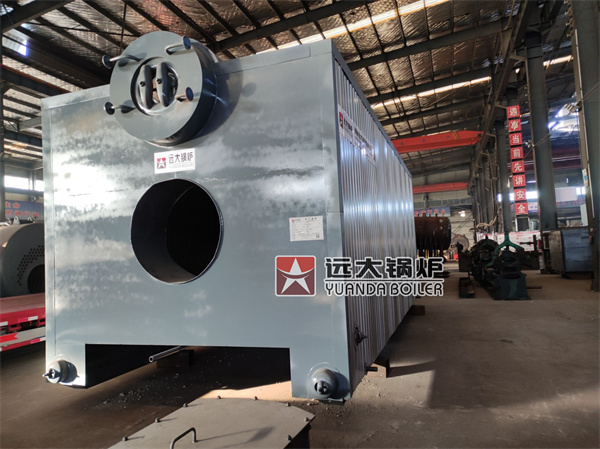 Thailand Biomass Steam Boiler Water Tube Boiler 10ton/hour