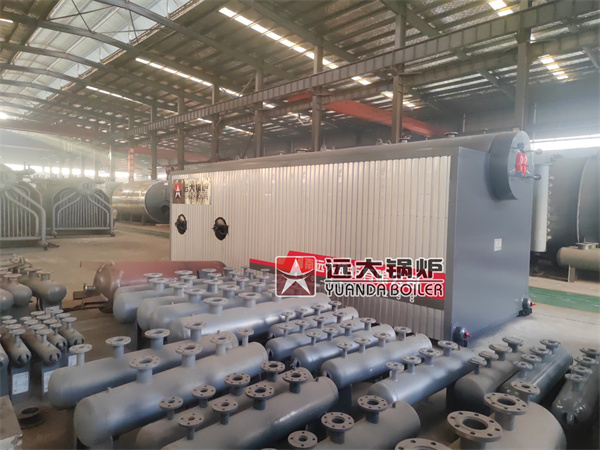 Vietnam Water Tube Biomass Boiler 15ton Reciprocating Grate Biomass Boiler