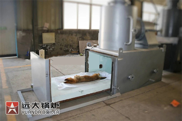 Animal Pet Cremation Cat Dog Incinerator Animal Pet Cremación Gato Perro Incinerador