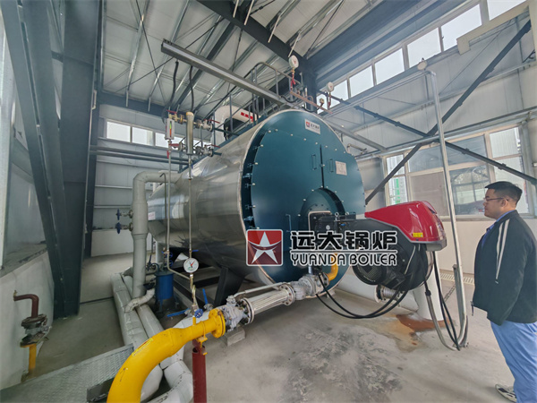 6Ton Oil Gas Steam Generator Boiler 6000kg Fire Tube Boiler 350hp Steam Boiler