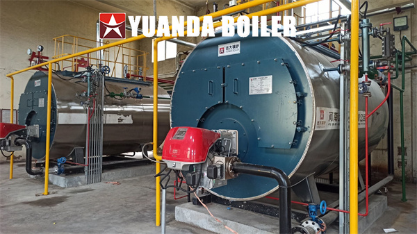 2000kg Fire Tube Steam Generator Boiler 2ton Lpg Gas Fired Boiler In Hospital