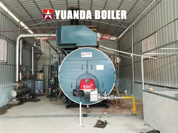 6000kg hour Gas Steam Boiler Condensing Industrial Boiler For Food Factory