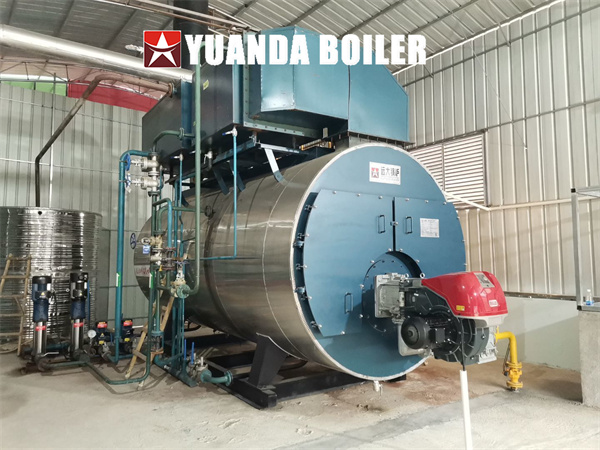 6000kg hour Gas Steam Boiler Condensing Industrial Boiler For Food Factory