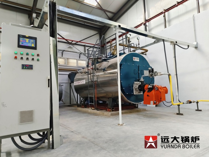 Canton Packaging Factory Steam Boiler 4000kg Diesel Gas Fired Boiler In Algeria