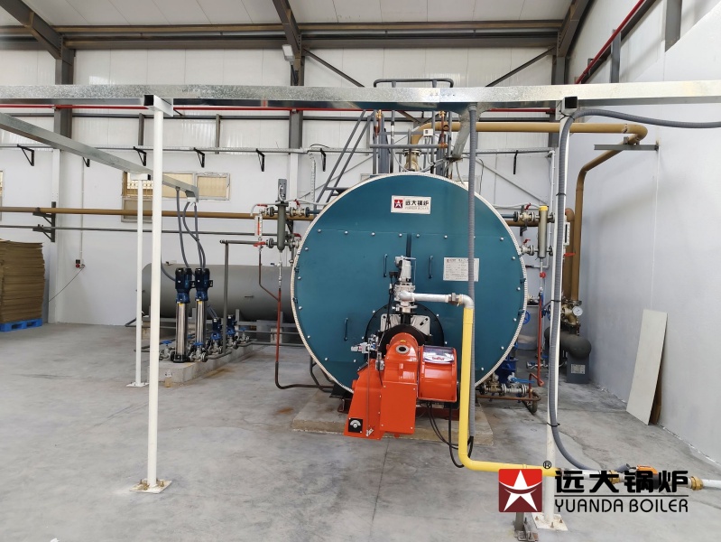 China Yuanda Boiler Sale Service in Algeria, Engineer Working Industrial Boiler Commissioning Service