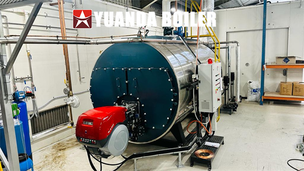 Australia Steam Boiler 3000kg Natural Gas Boiler Industrial Boiler 3Ton Per Hour