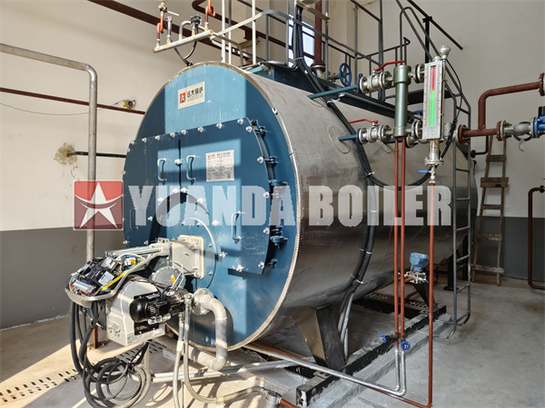 2Ton Biogas Fired Steam Boiler Fire Tube Horizontal Three Pass Biogas Steam Boiler 2000kg