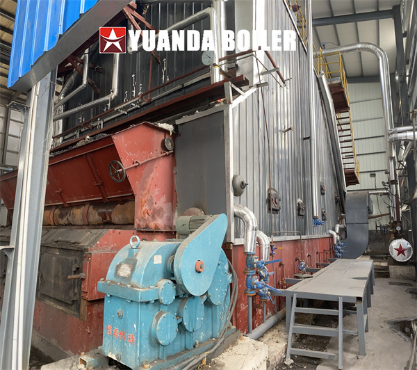 Coal Steam Boiler 40Ton Industrial Boiler For Flour Plant China