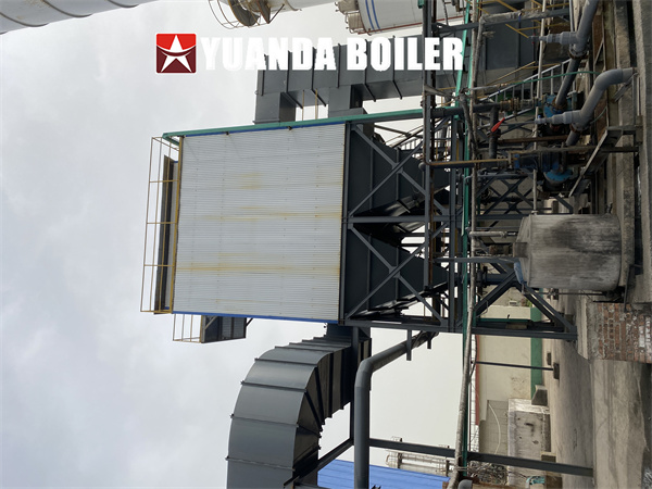 Water Tube Coal Boiler 40Ton Steam Boiler For Food Industry Flour Mill