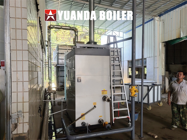 Vertical Gas Steam Generator Boiler 500KG Per Hour Water Tube Steam Boiler