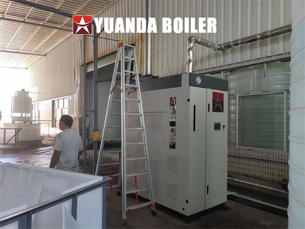 Vertical Gas Steam Generator Boiler 500KG Per Hour Water Tube Steam Boiler