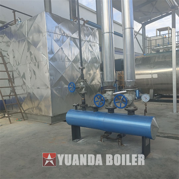 5000kg hour Gas Fire Tube Boiler Automatic Steam Boiler For Food Factory Egypt