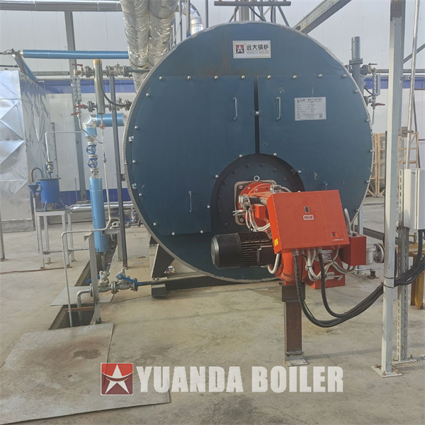 5000kg hour Gas Fire Tube Boiler Automatic Steam Boiler For Food Factory Egypt