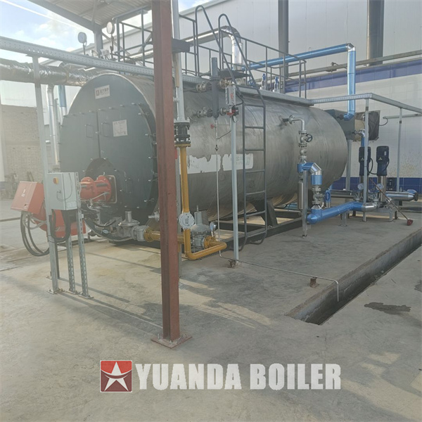 5000kg hour Gas Fire Tube Boiler Automatic Steam Boiler For Food Factory Egypt