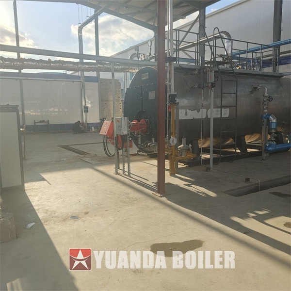 5000kg hour Gas Fire Tube Boiler Automatic Steam Boiler For Food Factory Egypt