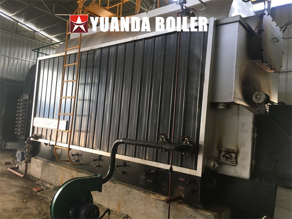 3Ton Biomass Steam Boiler Chain Grate Boiler Made in China