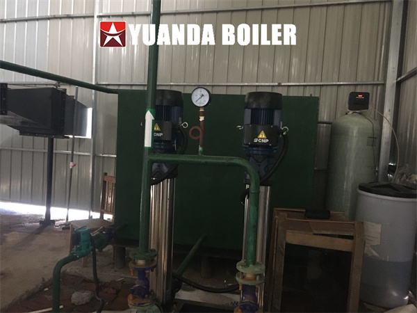 3Ton Biomass Steam Boiler Chain Grate Boiler Made in China