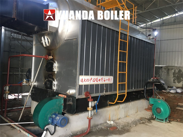 3Ton Biomass Steam Boiler Chain Grate Boiler Made in China