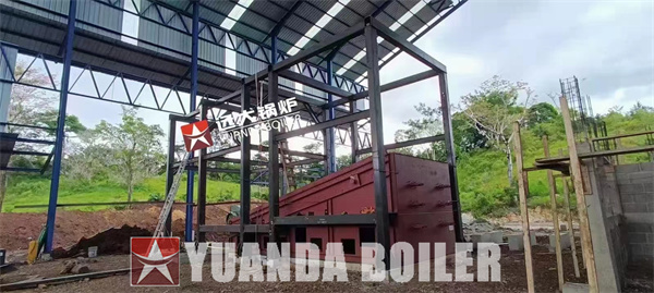 Industrial Bagasse Boiler Biomass Boiler Electricity Power Generation Boiler 20Ton