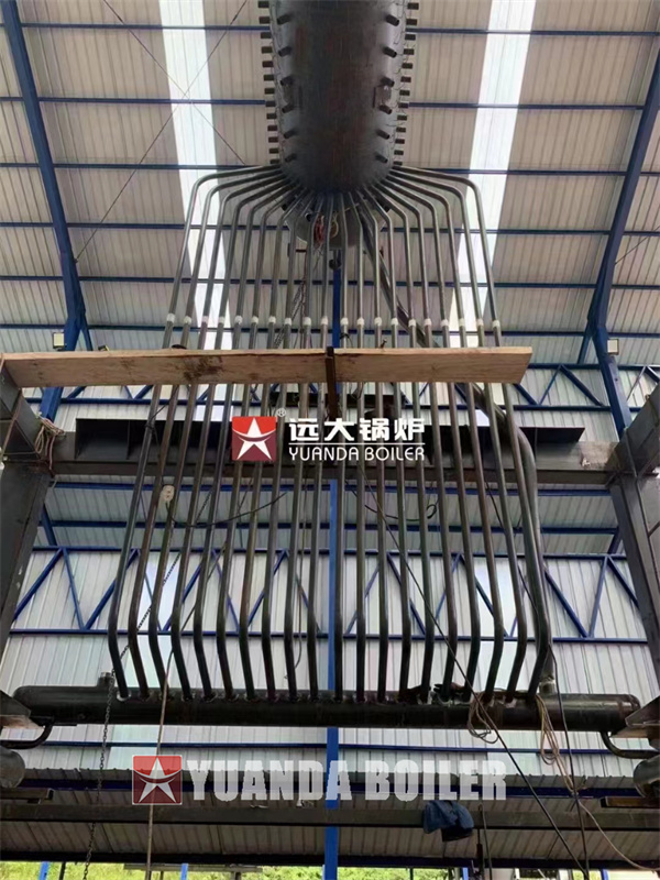 Industrial Bagasse Boiler Biomass Boiler Electricity Power Generation Boiler 20Ton