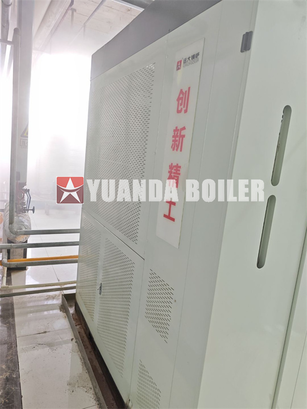 1ton/hour Diesel Gas Steam Generator Water Tube Steam Generator Boiler 1000kg Vertical Steam Generator