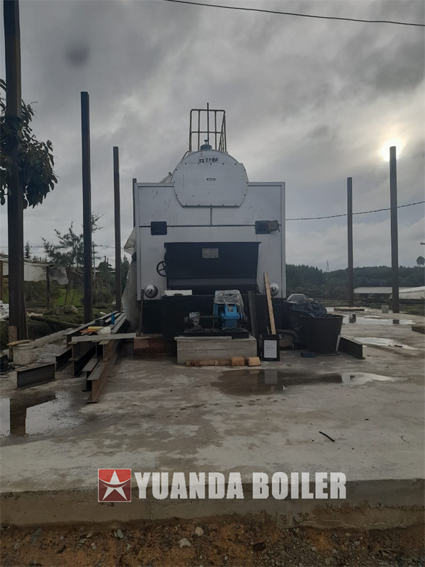 4200kw Wood Biomass Hot Water Boiler Chain Grate Biomass Boiler In Colombia