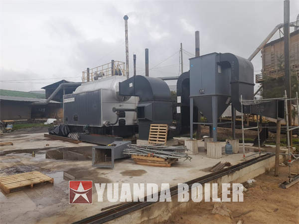 4200kw Wood Biomass Hot Water Boiler Chain Grate Biomass Boiler In Colombia