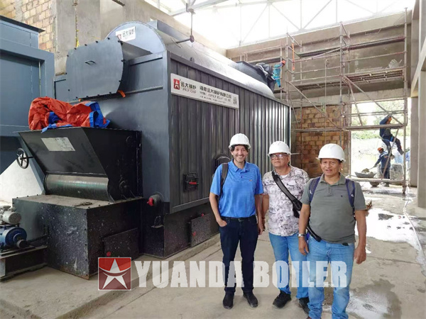 4Ton Biomass Reciprocating Grate Boiler Solid Fuel Coal Wood Biomass Boiler 4000kg Per Hour