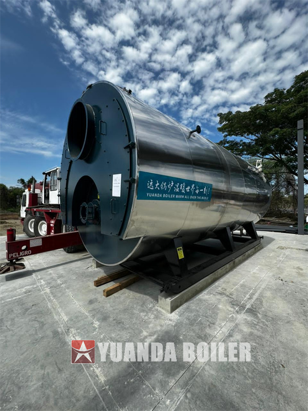 1000hp Boiler Steam Caldera Vapor 15Ton Diesel Gas Fired Boiler For Food Processing Factory In Ecaudor