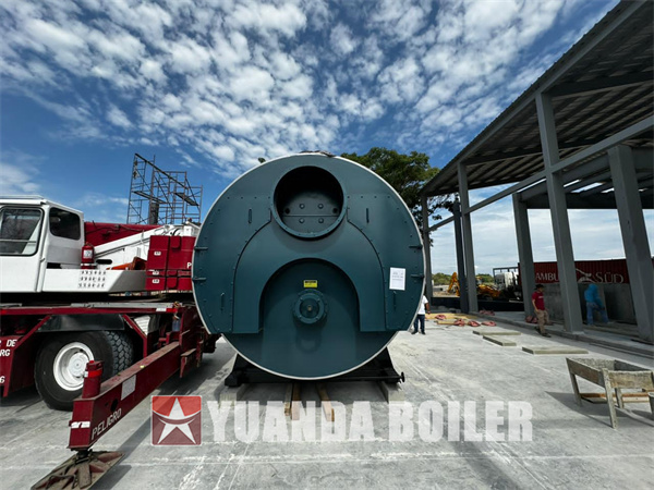 1000hp Boiler Steam Caldera Vapor 15Ton Diesel Gas Fired Boiler For Food Processing Factory In Ecaudor