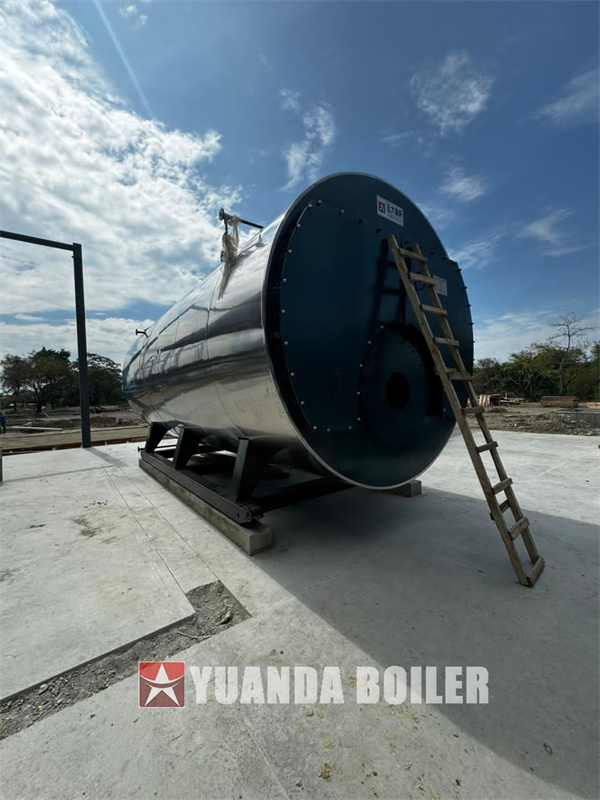 1000hp Boiler Steam Caldera Vapor 15Ton Diesel Gas Fired Boiler For Food Processing Factory In Ecaudor