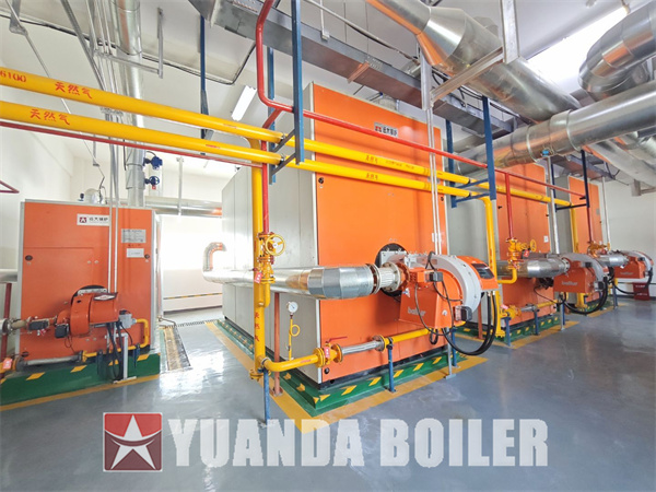 4200kw 700kw Gas Hot Water Heater Boiler For Buildings Warehouse Greenhouse Central Heating Application