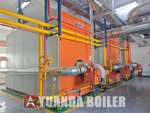 4200kw 700kw Gas Hot Water Heater Boiler For Buildings Warehouse Greenhouse Central Heating Application