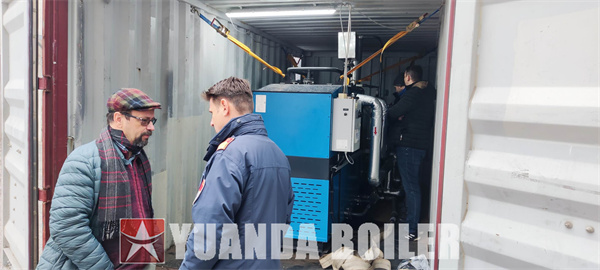 Biomass Pellets Heating Boiler Hot Water Heater Boiler Central Heating Application Hungary