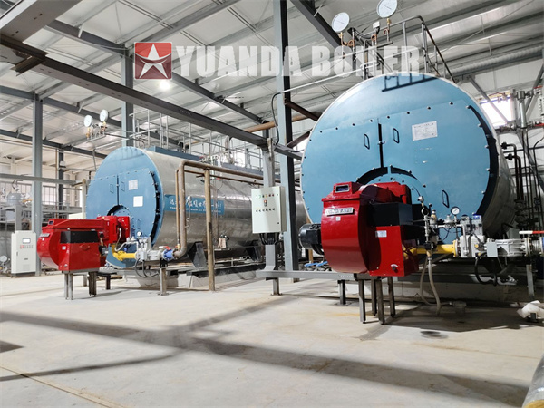 Kazakhstan Food Factory Project 10,000kg Fuel Oil Gas Fired Steam Boiler With PLC Control Cabinet