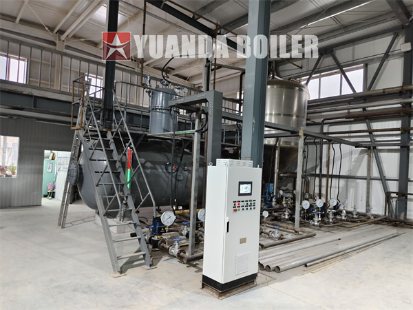 Kazakhstan Food Factory Project 10,000kg Fuel Oil Gas Fired Steam Boiler With PLC Control Cabinet