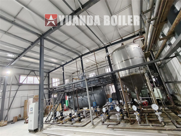 Kazakhstan Food Factory Project 10,000kg Fuel Oil Gas Fired Steam Boiler With PLC Control Cabinet