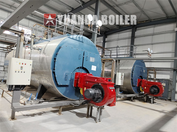 Kazakhstan Food Factory Project 10,000kg Fuel Oil Gas Fired Steam Boiler With PLC Control Cabinet